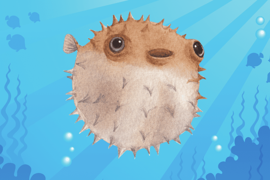 The Puffy Pufferfish: Understanding Bloating and Bloatedness